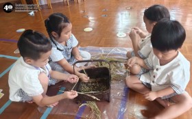 อนุบาลแกะเมล็ดข้าว (๑๘-๑๙ พ.ย.๖๘) Image 8